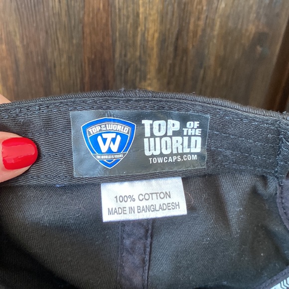 Donating soon! Top Of The World Michigan State Big Ten Champions Embroidered Hat - Picture 7 of 7